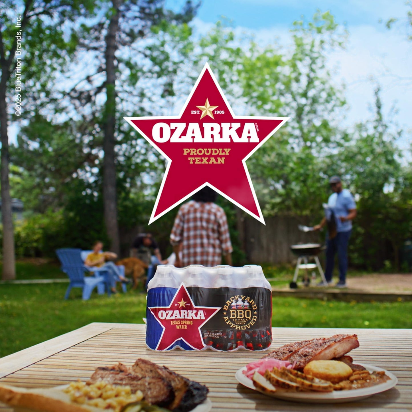 Ozarka Texas Spring Water Bottles, 12 Pack - Still Drinking Water with Naturally Balanced Minerals for a Crisp Clean Taste - 12 Fl Oz