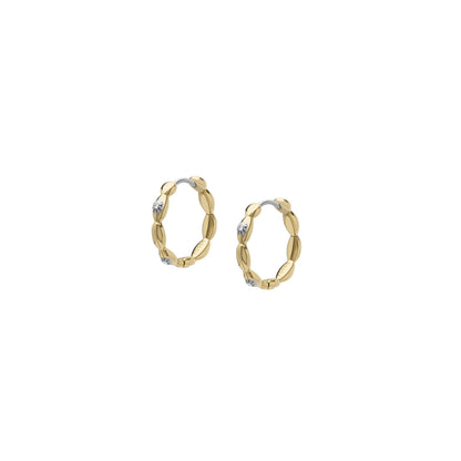 Fossil Women's Stainless Steel Dangle/Drop or Hoop Earrings for Women