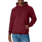 Hanes Men's Hoodie - EcoSmart Fleece Hooded Sweatshirt for Men & Women - Midweight Fleece - Big & Tall Available