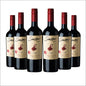 SINZERO - Cabernet Sauvignon - 750 ml 6 Pack - Non-alcoholic red wine - Aged in French oak for smooth rich flavor - Low calories, vegan friendly - Made in Chile