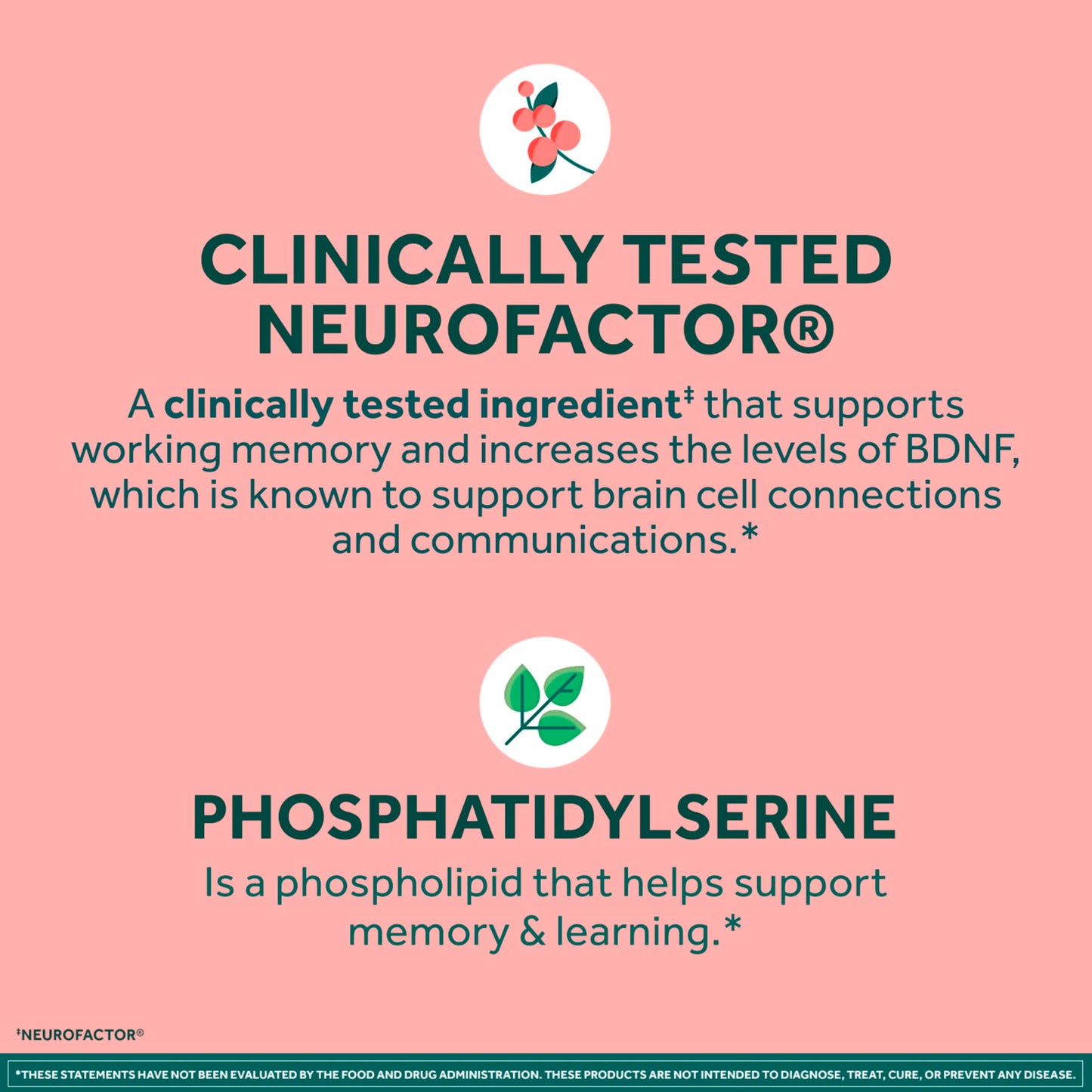 NEURIVA Plus Brain Supplements for Memory and Focus, Clinically Tested Nootropics Neurofactor and Phosphatidylserine, with Vitamin B12, Vitamin B6 and Folic Acid, 30 Count Capsules