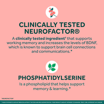 NEURIVA Plus Brain Supplements for Memory and Focus, Clinically Tested Nootropics Neurofactor and Phosphatidylserine, with Vitamin B12, Vitamin B6 and Folic Acid, 30 Count Capsules