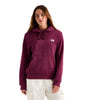 THE NORTH FACE Women's Evolution Simple Dome Hoodie | 2 Piece Hood With Adjustable Drawcord, Kangaroo Pocket