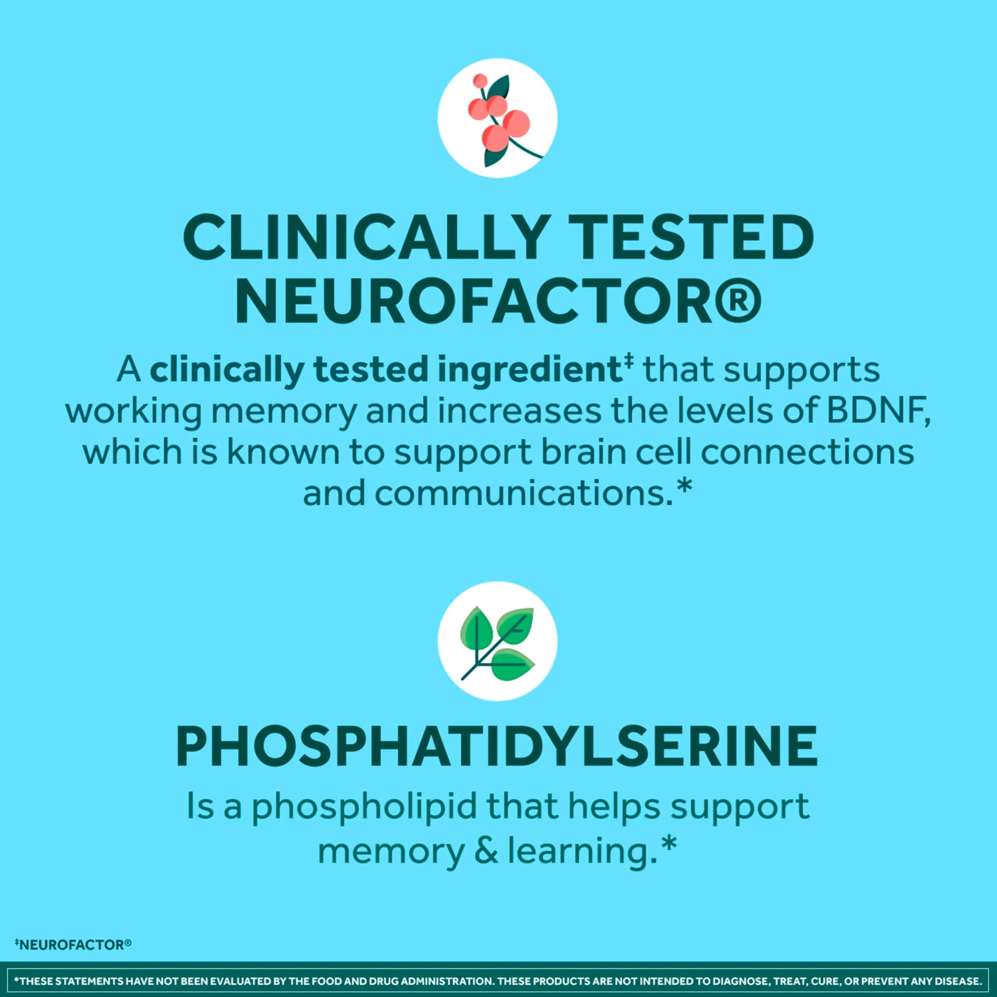 NEURIVA Plus Brain Supplements for Memory and Focus, Clinically Tested Nootropics Neurofactor and Phosphatidylserine, with Vitamin B12, Vitamin B6 and Folic Acid, 30 Count Capsules
