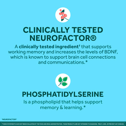 NEURIVA Plus Brain Supplements for Memory and Focus, Clinically Tested Nootropics Neurofactor and Phosphatidylserine, with Vitamin B12, Vitamin B6 and Folic Acid, 30 Count Capsules