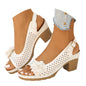 Orthopedic Wedge Sandals For Women 2026,Chunky Block Arch Support Sandal Adjustable Ankle Strap Hollow Out Low Heeled Slippers Wide Width Elegant Dressy Summer Platform Beach Shoes