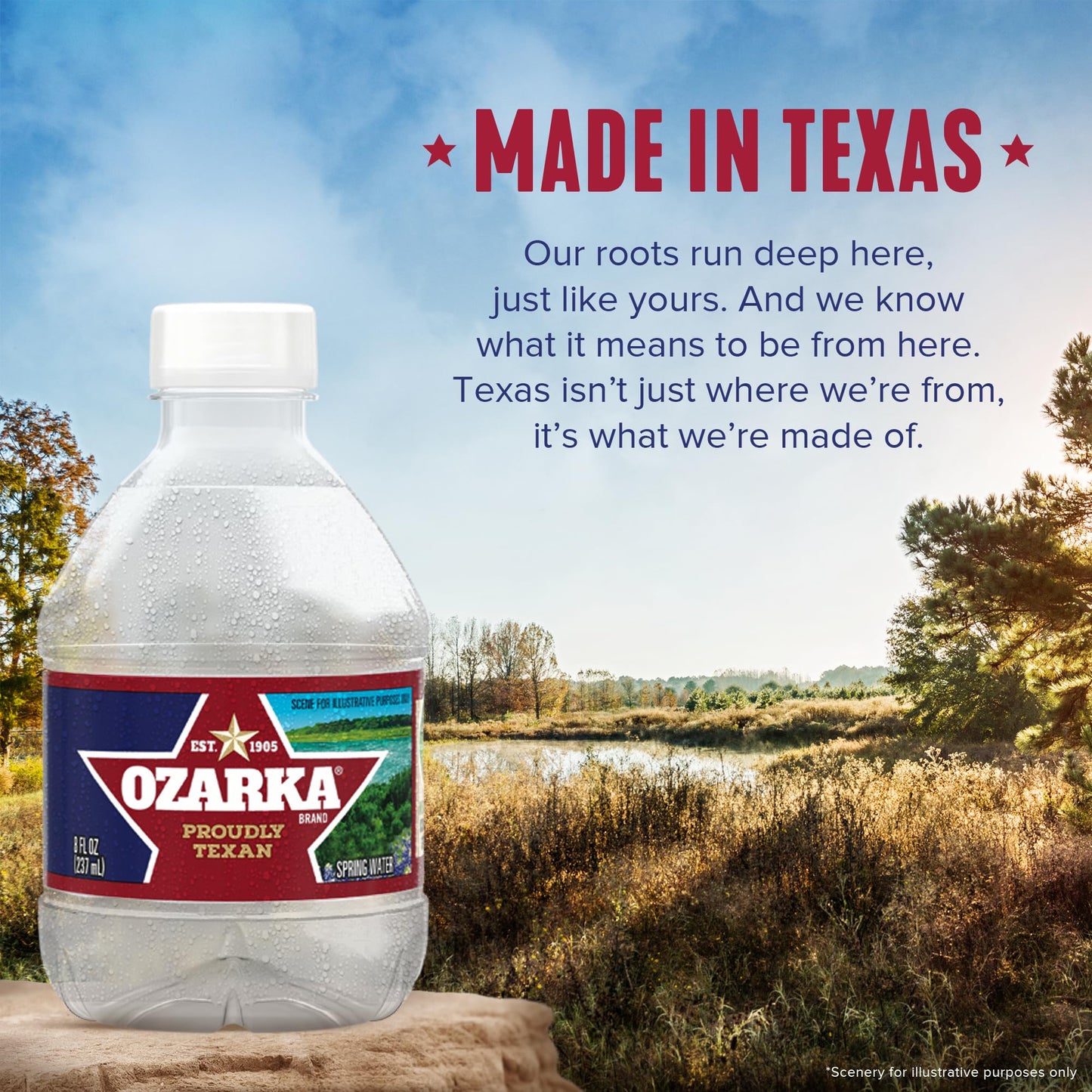 Ozarka Texas Spring Water Bottles, 12 Pack - Still Drinking Water with Naturally Balanced Minerals for a Crisp Clean Taste - 12 Fl Oz