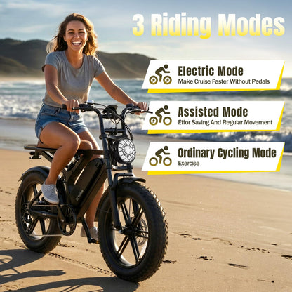 Electric Bike for Adults, Peak 1500W Motor Retro E Bike, Range 65/120Miles, 48V 15Ah Removable Battery, 20"x4" Fat Tires, Full Suspension, APP Control, Off-Road Ebike for City Commuting