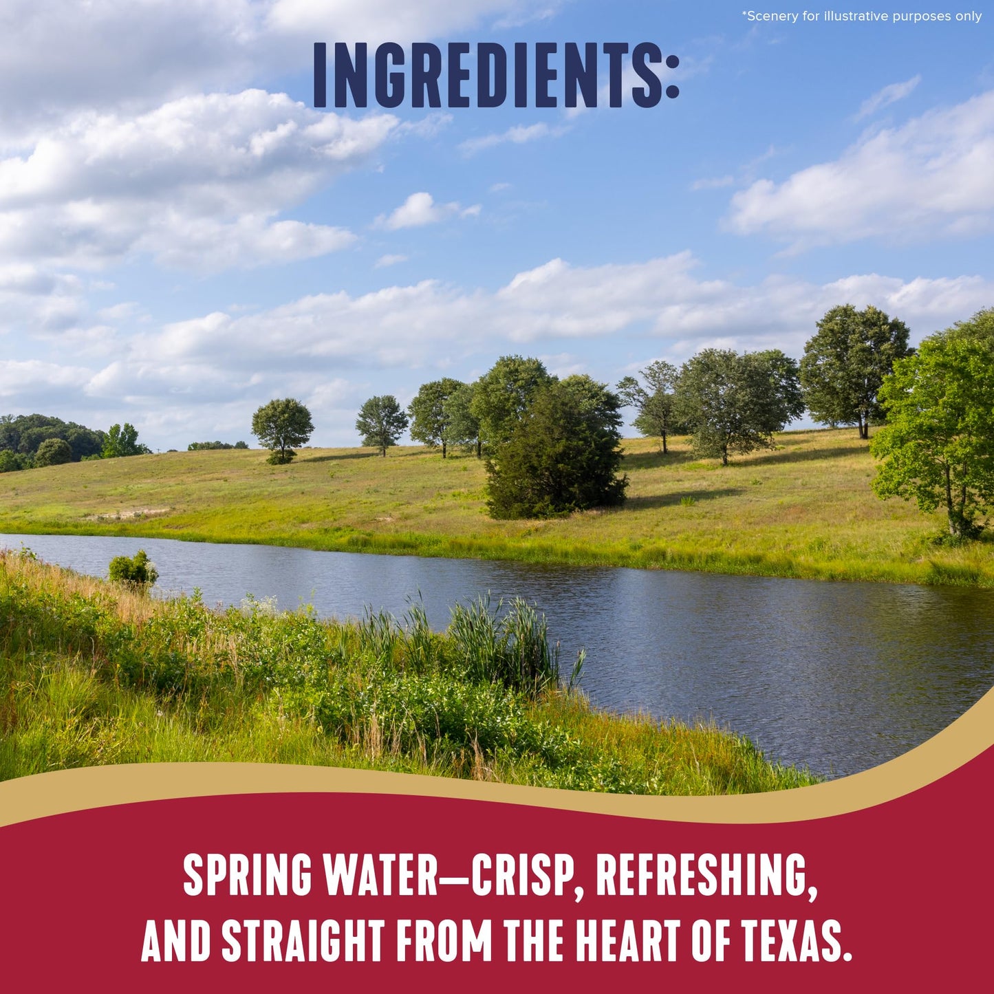 Ozarka Texas Spring Water Bottles, 12 Pack - Still Drinking Water with Naturally Balanced Minerals for a Crisp Clean Taste - 12 Fl Oz