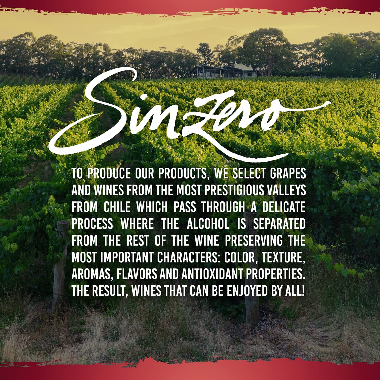 SINZERO - Cabernet Sauvignon - 750 ml 6 Pack - Non-alcoholic red wine - Aged in French oak for smooth rich flavor - Low calories, vegan friendly - Made in Chile