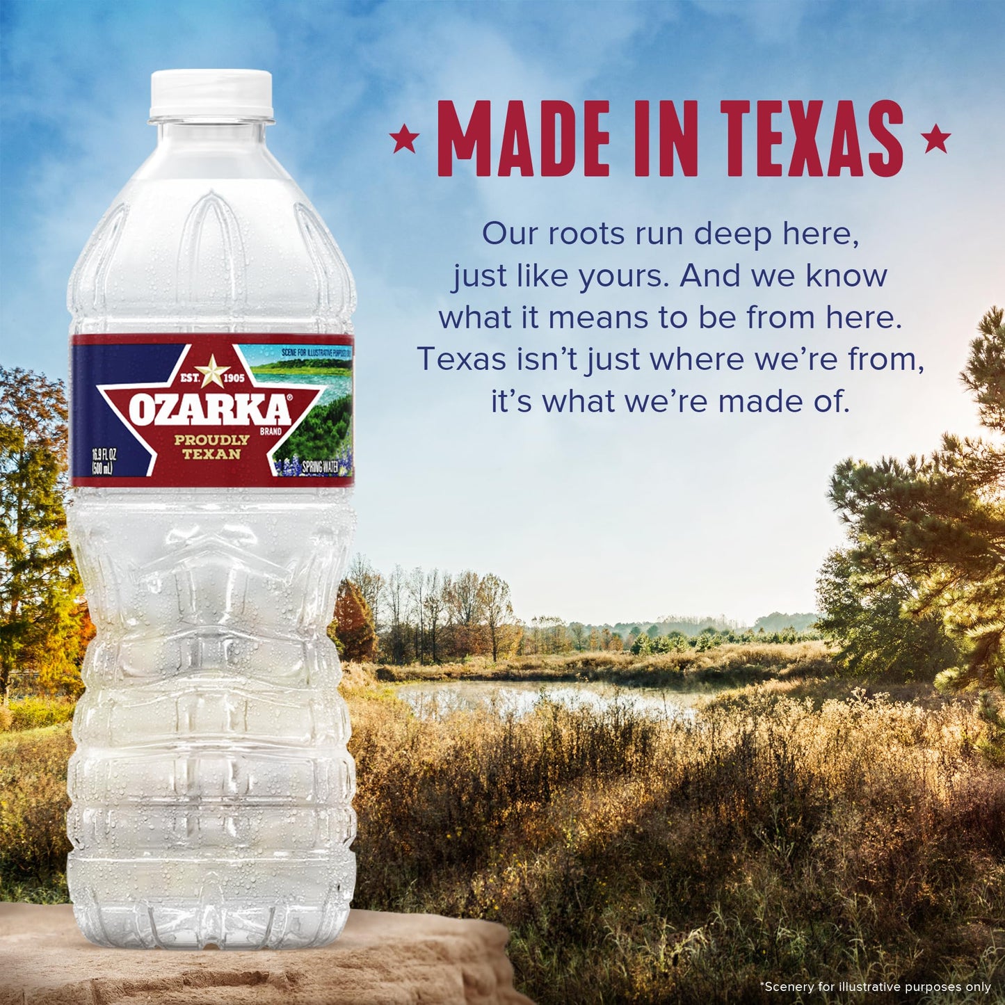 Ozarka Texas Spring Water Bottles, 12 Pack - Still Drinking Water with Naturally Balanced Minerals for a Crisp Clean Taste - 12 Fl Oz