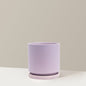Isabella Planter