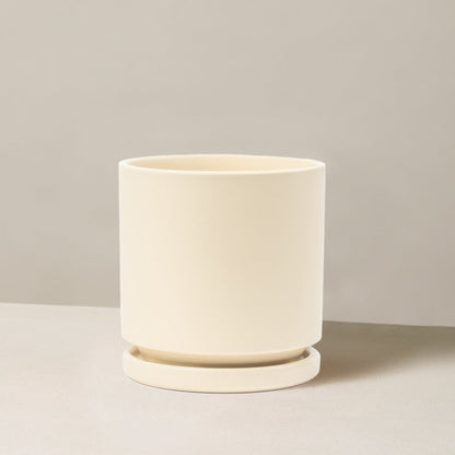 Isabella Planter