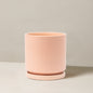 Isabella Planter