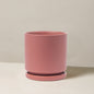 Isabella Planter