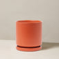 Isabella Planter