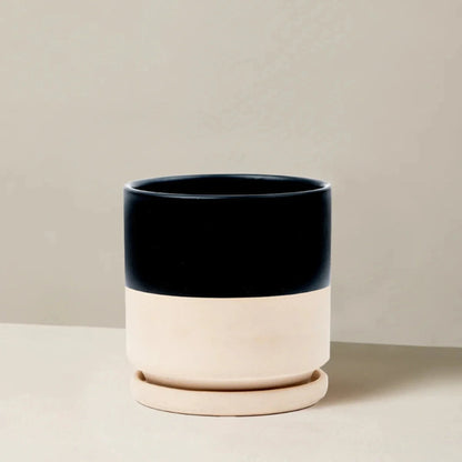 Isabella Planter