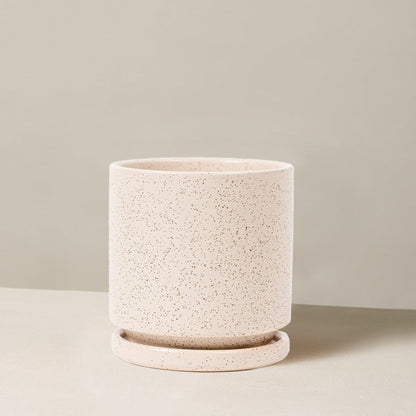 Isabella Planter