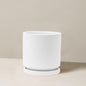 Isabella Planter