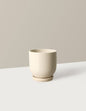 Westcott Planter