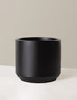 Large Mexia Planter